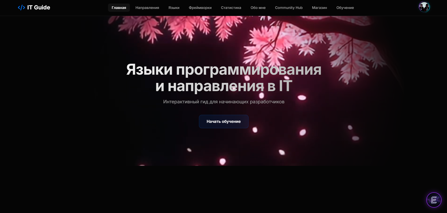 Project Screen